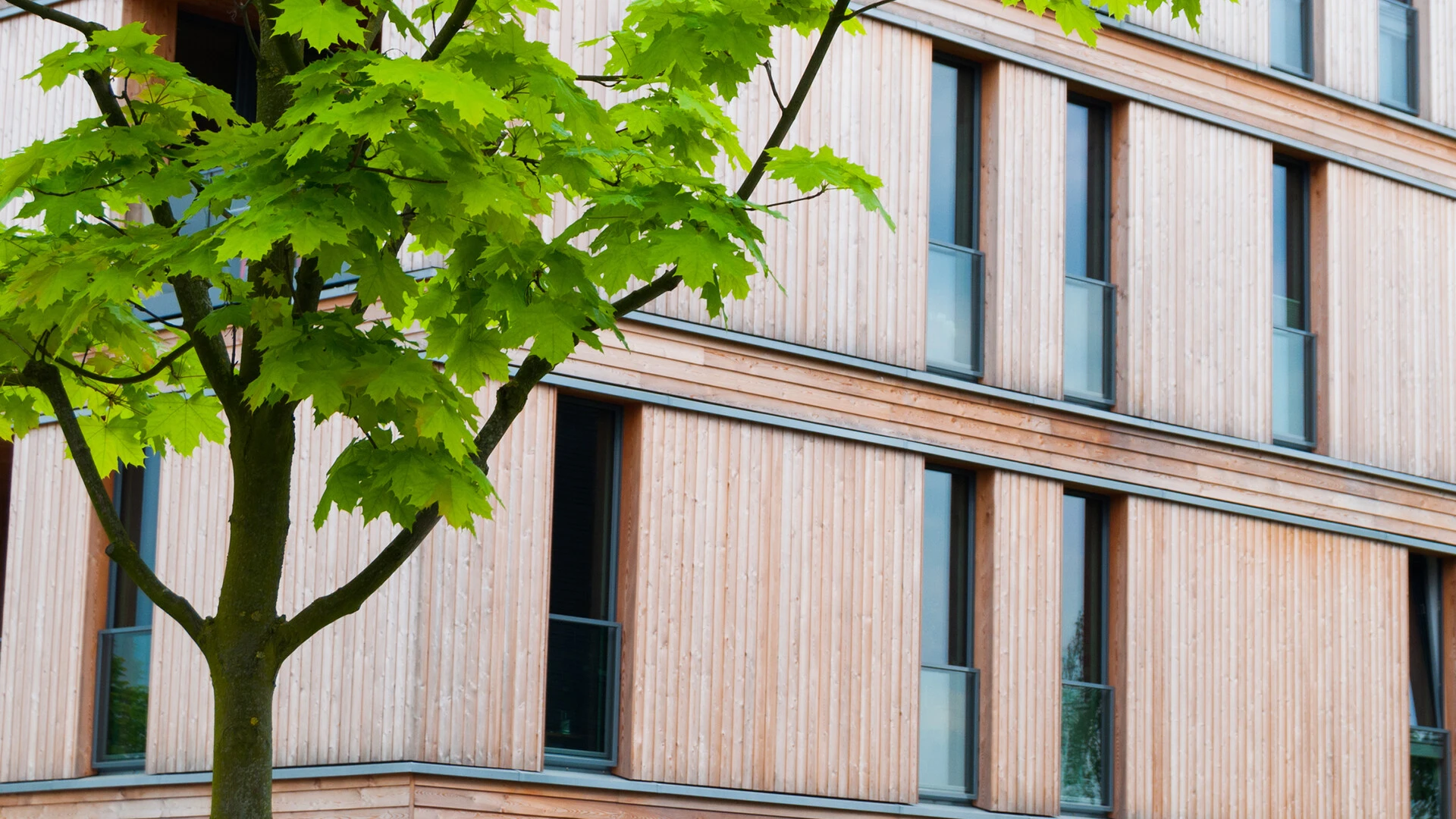 Saint-Gobain Weber Schweiz | Suisse | Svizzera
