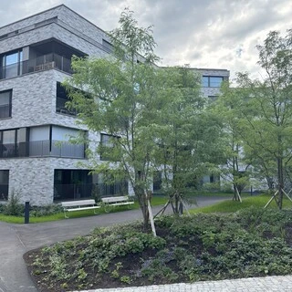 Lindenpark Steinhausen